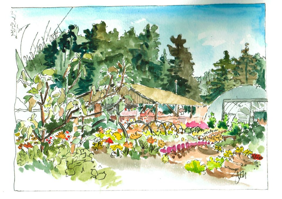 Watercolor painting of the Noyo Food Forest