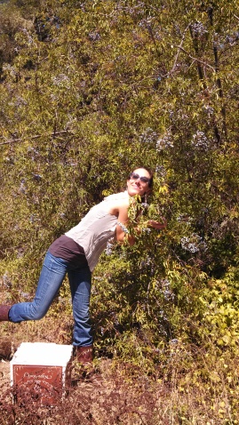 Melinda with bush
